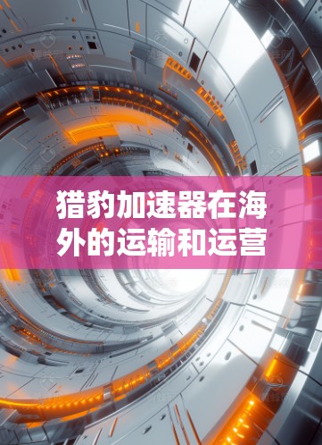 猎豹加速器在海外的运输和运营情况涉及多个方面,包括设备的运输方式、全球供应链管理、法律问题以及市场需求等。以下是对这一问题的分步总结和解释 猎豹加速器在海外的运输和运营情况涉及多个方面,包括设备的运输方式、全球供应链管理、法律问题以及市场需求等。以下是对这一问题的分步总结和解释