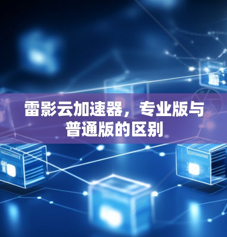 雷影云加速器，专业版与普通版的区别