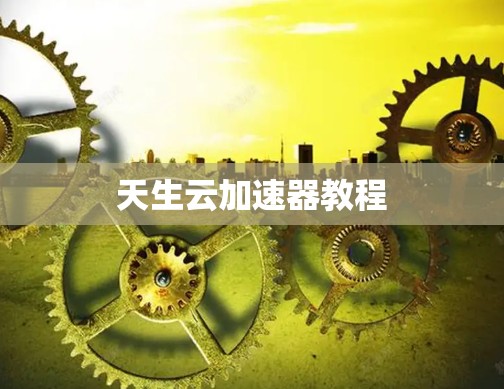 天生云加速器教程 天生云加速器教程