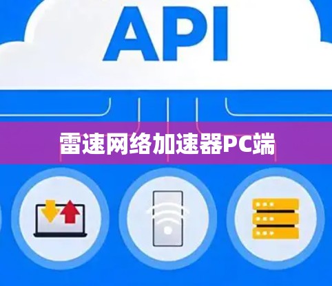 雷速网络加速器PC端