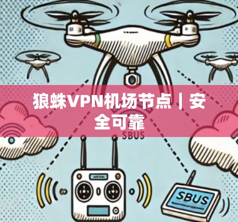 狼蛛VPN机场节点｜安全可靠