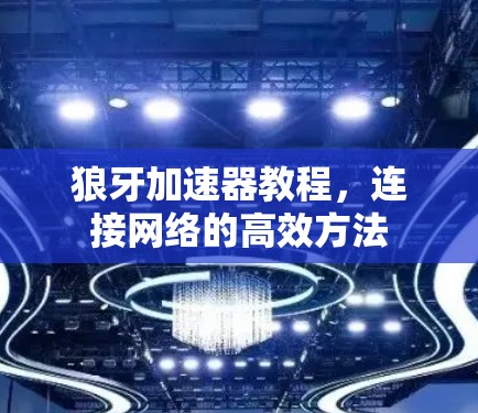 狼牙加速器教程，连接网络的高效方法