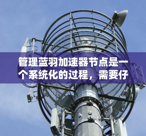 管理蓝羽加速器节点是一个系统化的过程,需要仔细理解其功能和配置。以下是一个有条理的指南,帮助您高效地管理加速器节点 管理蓝羽加速器节点是一个系统化的过程,需要仔细理解其功能和配置。以下是一个有条理的指南,帮助您高效地管理加速器节点