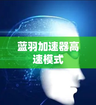 蓝羽加速器高速模式