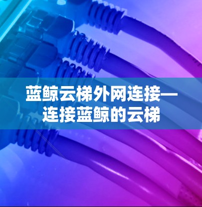 蓝鲸云梯外网连接—连接蓝鲸的云梯