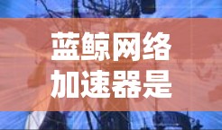 蓝鲸网络加速器是一款帮助用户优化网络流量的软件,支持在电脑上进行加速。以下是详细的步骤指南 蓝鲸网络加速器是一款帮助用户优化网络流量的软件,支持在电脑上进行加速。以下是详细的步骤指南