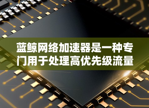 蓝鲸网络加速器是一种专门用于处理高优先级流量的网络加速工具，通常用于处理蓝鲸这样的平台的高优先级流量。如果您需要一个高性能的网络加速器，可以考虑以下几种选择