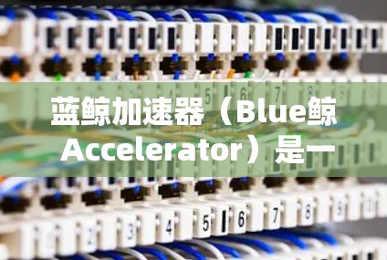 蓝鲸加速器（Blue鲸 Accelerator）是一种用于加速高速连接的工具，通常用于加速视频、游戏、文件传输等。它的稳定性和网络连接是关键的