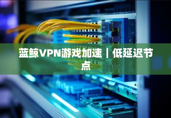 蓝鲸VPN游戏加速｜低延迟节点