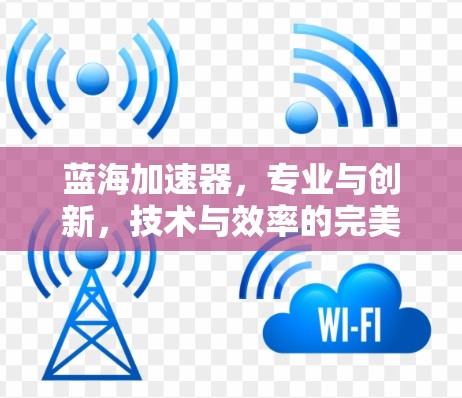 蓝海加速器，专业与创新，技术与效率的完美结合