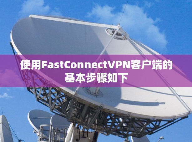 使用FastConnectVPN客户端的基本步骤如下 使用FastConnectVPN客户端的基本步骤如下