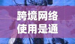 跨境网络使用是通过网络设备连接不同国家的计算机进行数据交换的方式。以下是一个系统化的指南，帮助你在学习和实践跨境网络使用时更好地理解相关流程