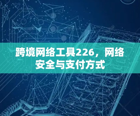 跨境网络工具226,网络安全与支付方式 跨境网络工具226,网络安全与支付方式