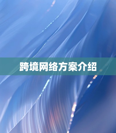 跨境网络方案介绍