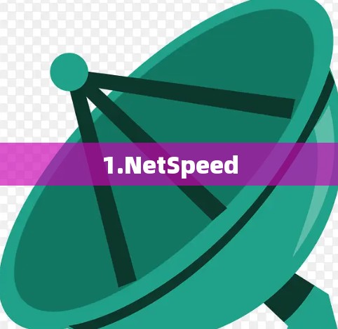 1.NetSpeed