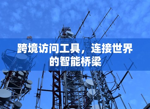 跨境访问工具，连接世界的智能桥梁