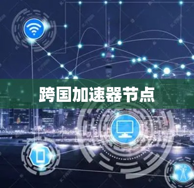 跨国加速器节点