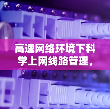 高速网络环境下科学上网线路管理，保障网络高效运行的关键