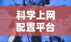 科学上网配置平台,让互联网更高效与安全