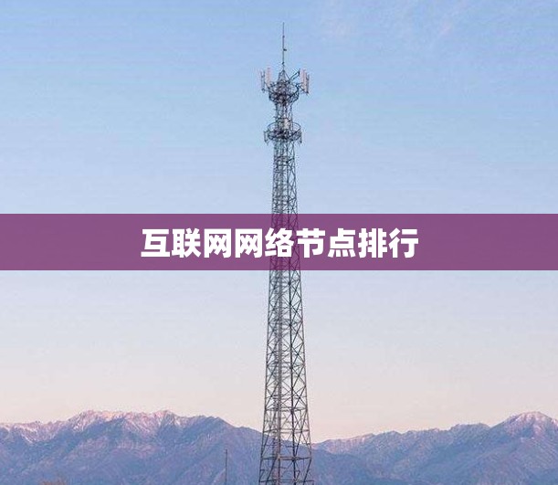 互联网网络节点排行