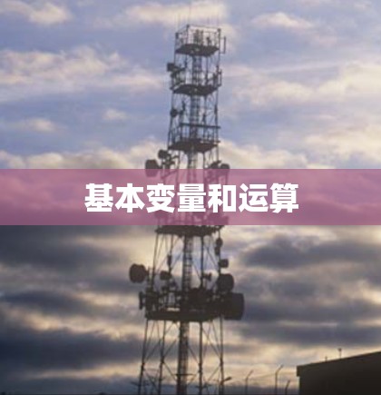基本变量和运算